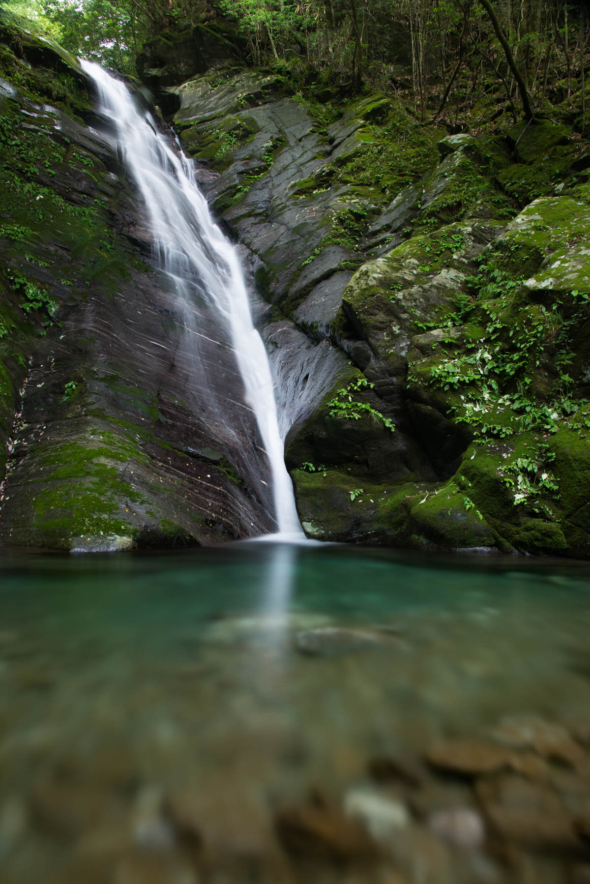 汗見川の名もなき滝