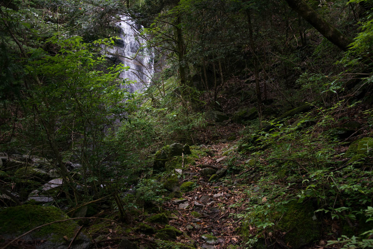 汗見川の赤滝までの道