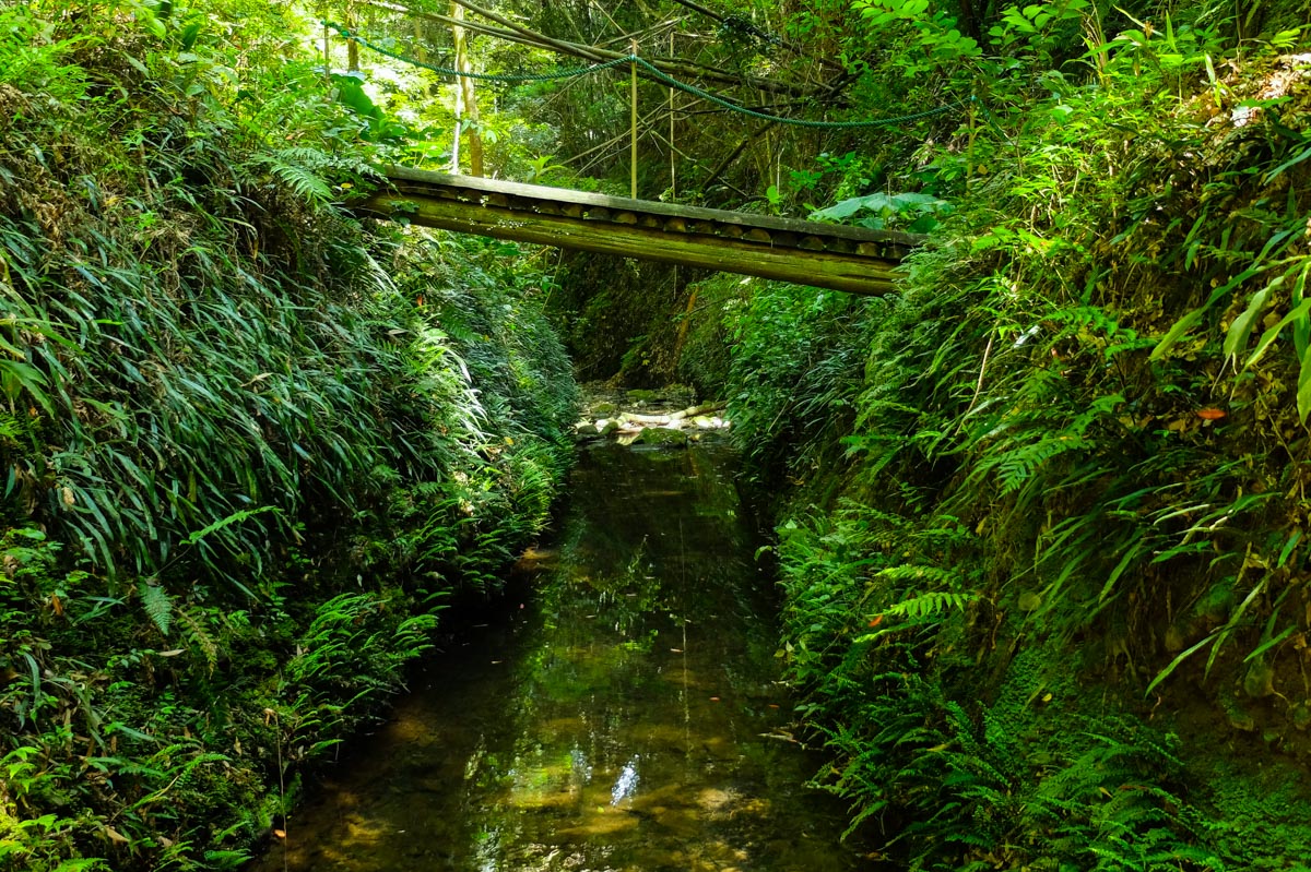 伊尾木洞道中の橋