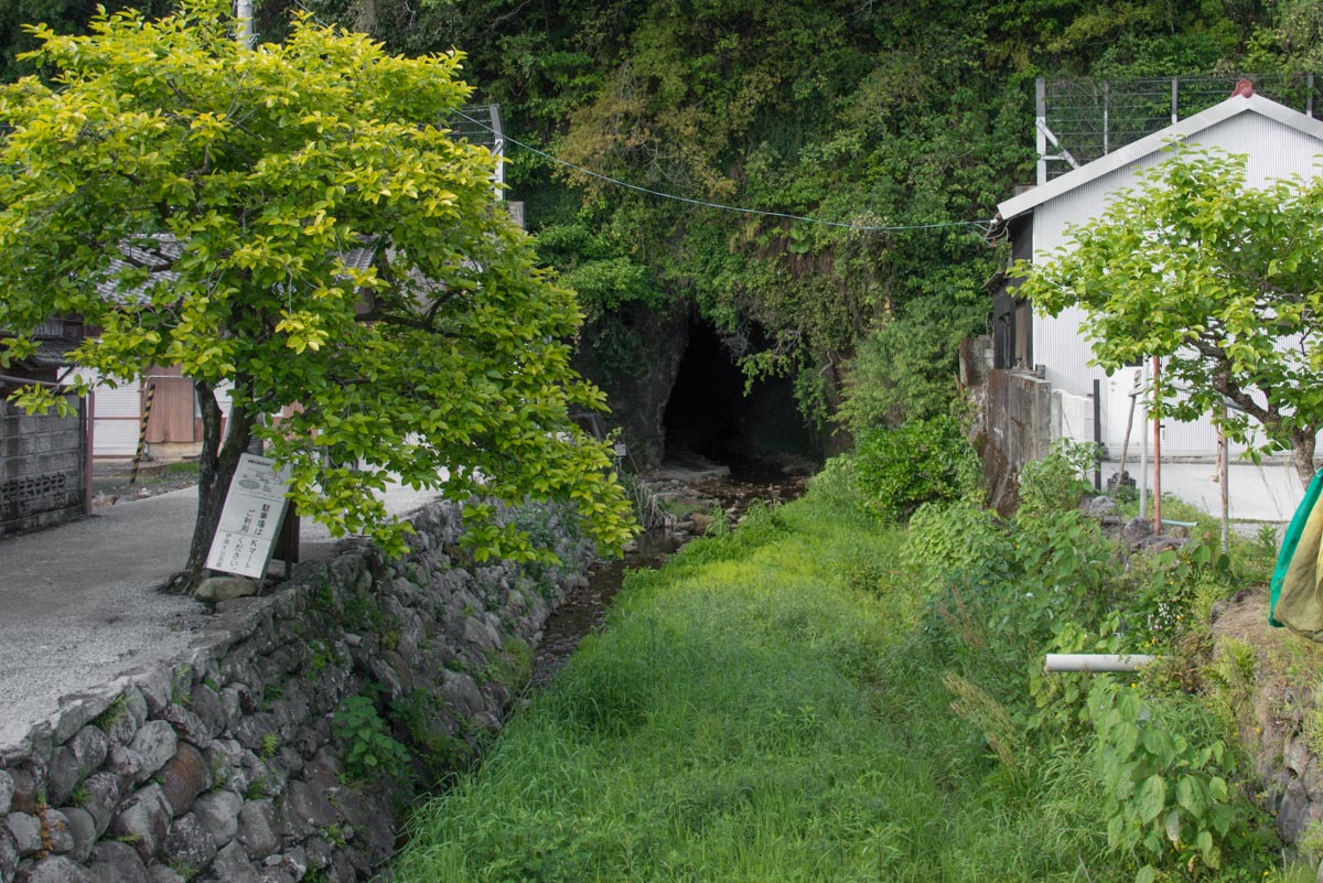 伊尾木洞の入り口