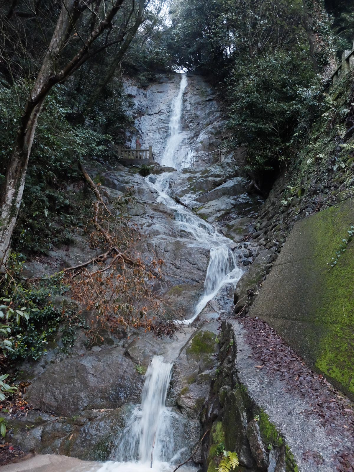 歌仙の滝全景