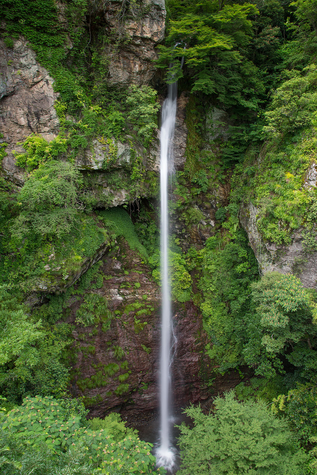 高知県 - 見残しの滝