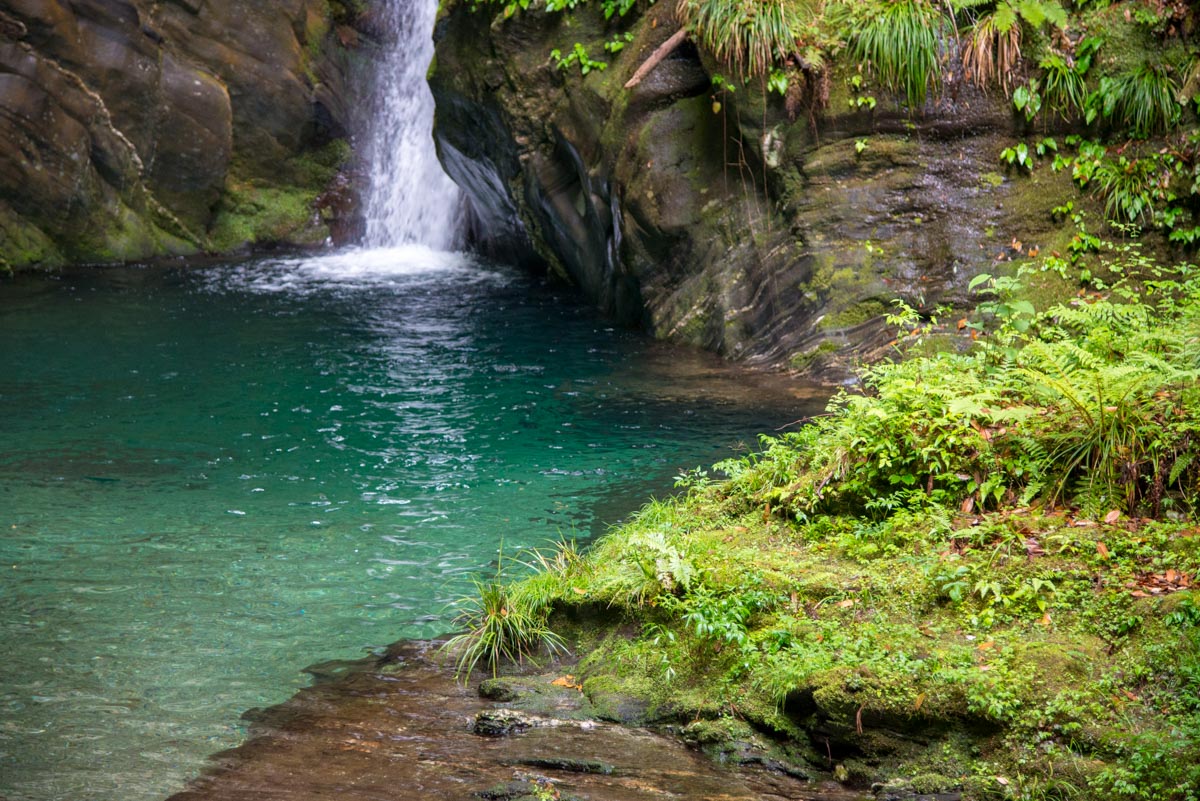 曇りでも清流を満喫できる