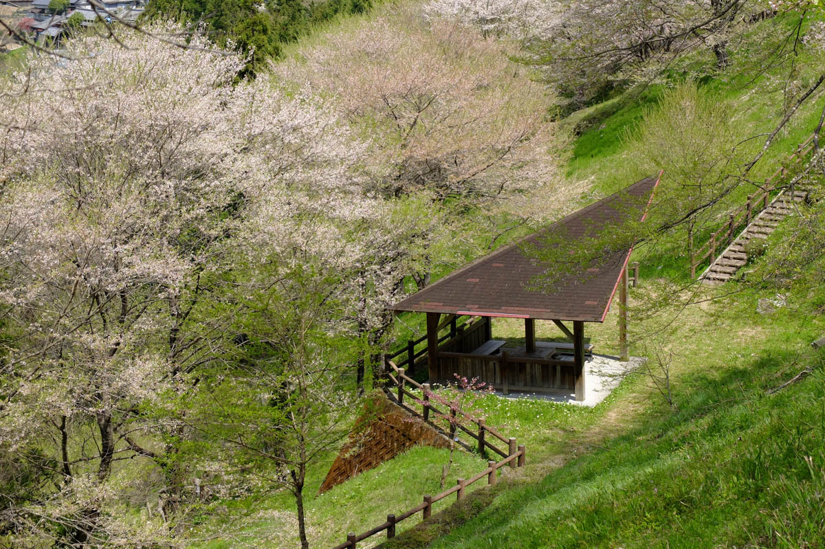 ひょうたん桜の休憩所