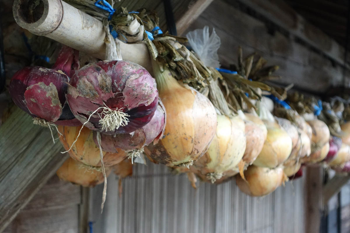 上勝町の古民家