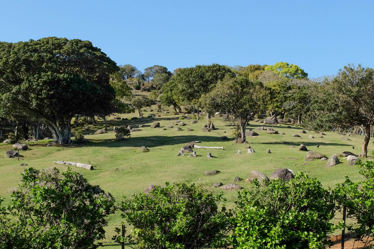 唐人駄馬遺跡の牧場