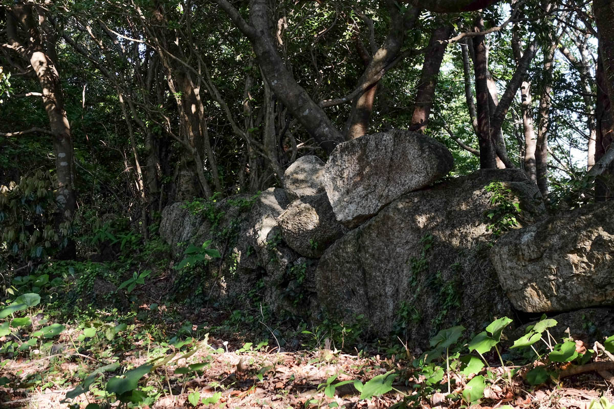 唐人駄馬遺跡の石垣