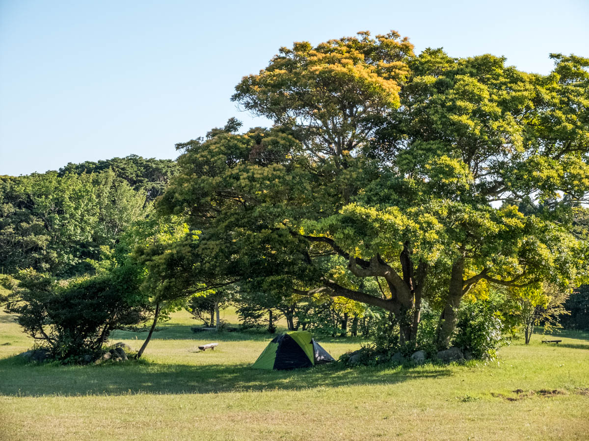 唐人駄馬遺跡のキャンプ場