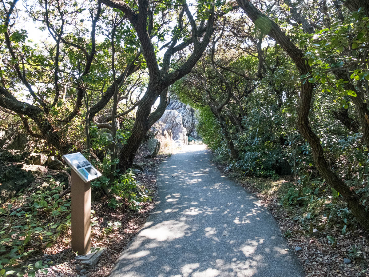 室戸岬の遊歩道