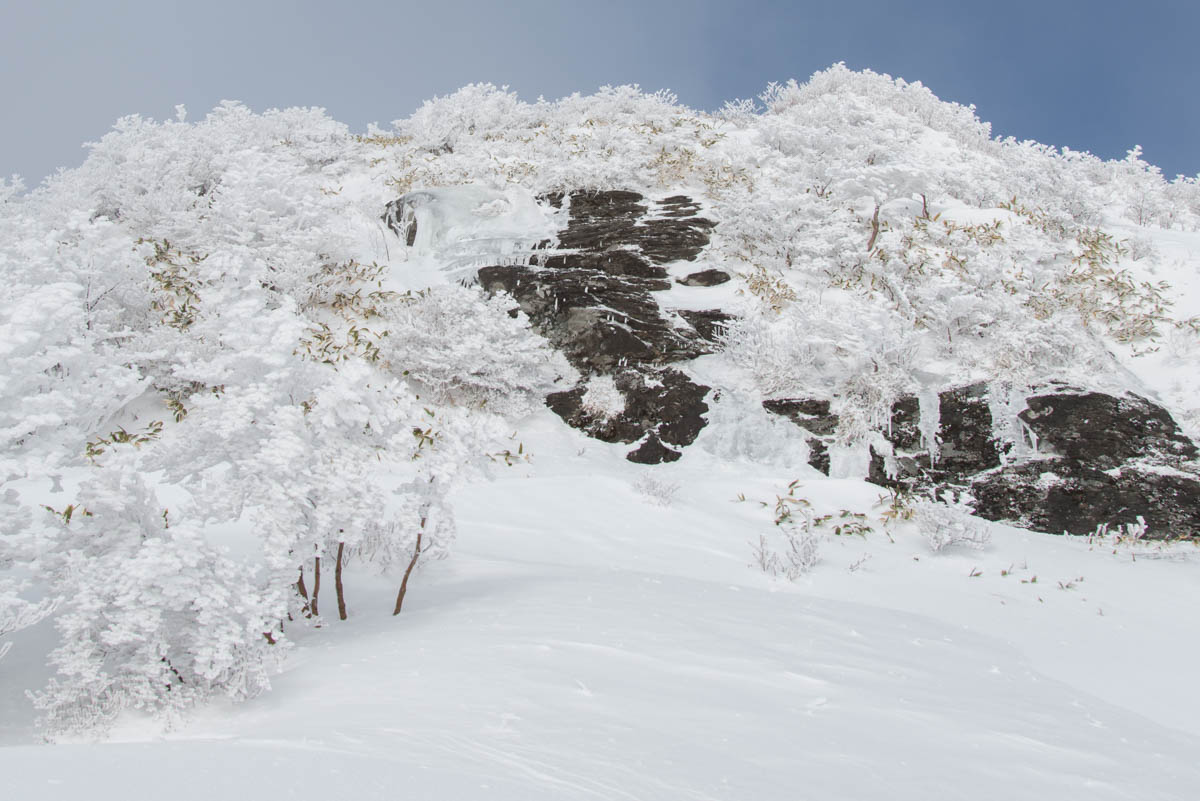 寒風山の霧氷