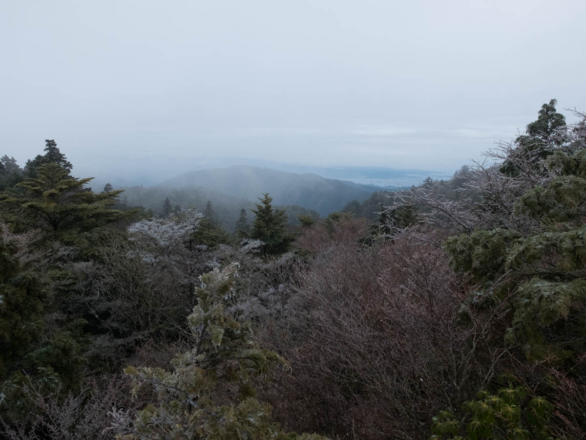工石山のトド岩