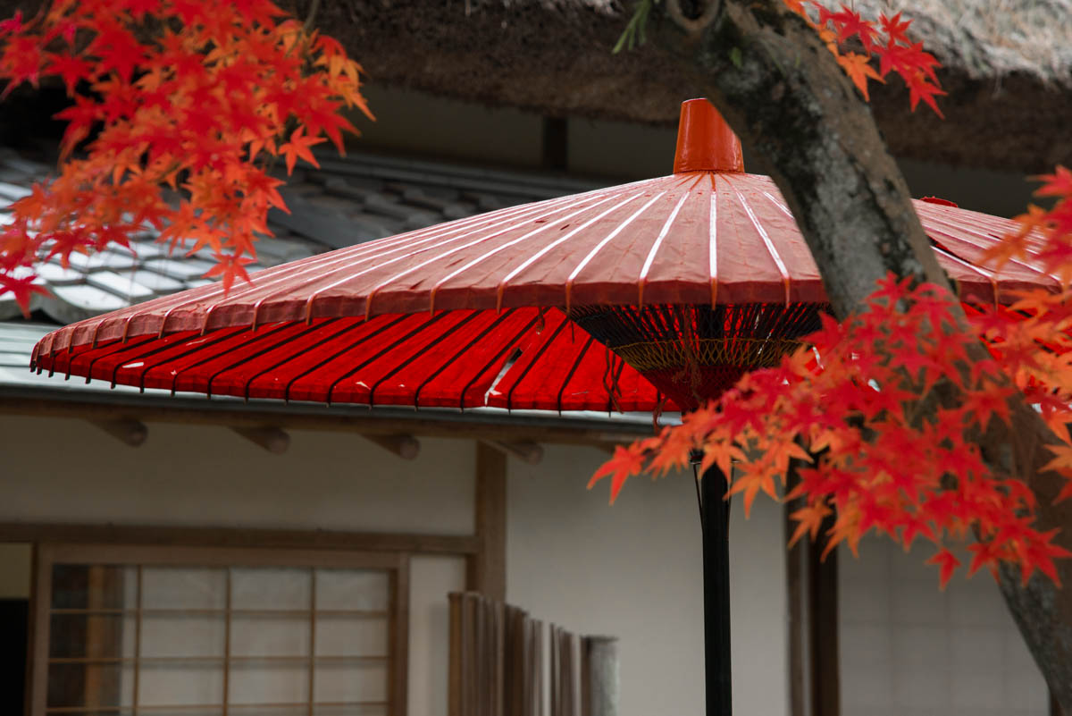 栗林公園の紅葉