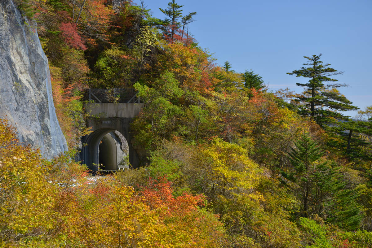 瓶ヶ森林道の紅葉