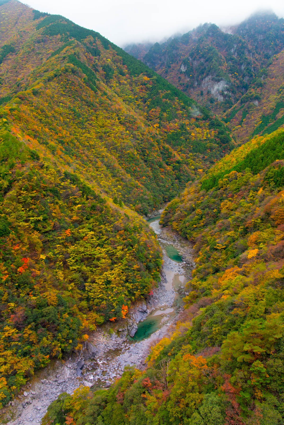 祖谷渓の紅葉